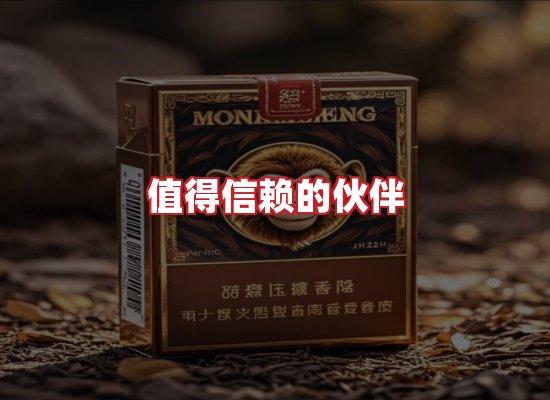 专业团队